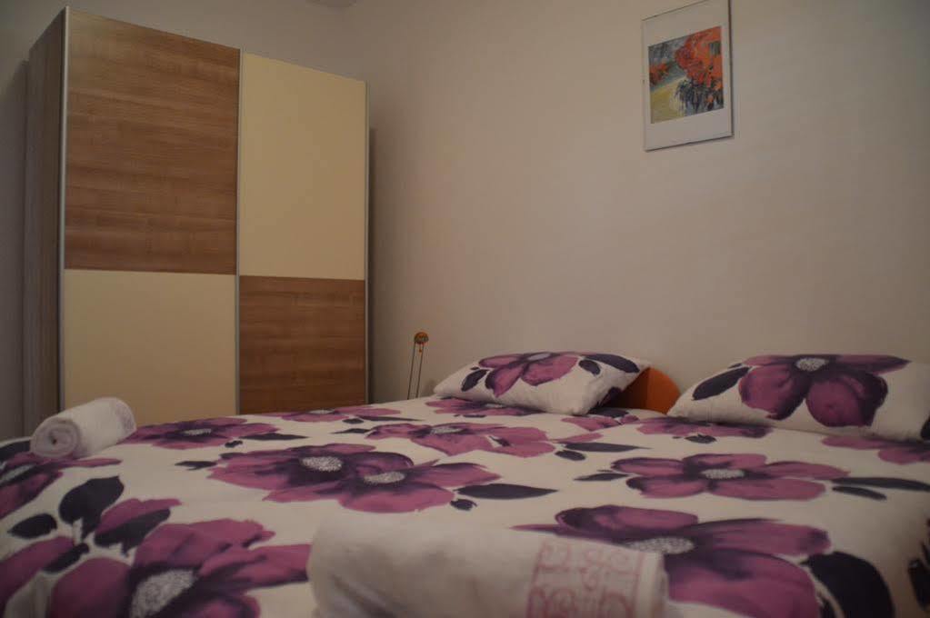 Family House Nozica 3*