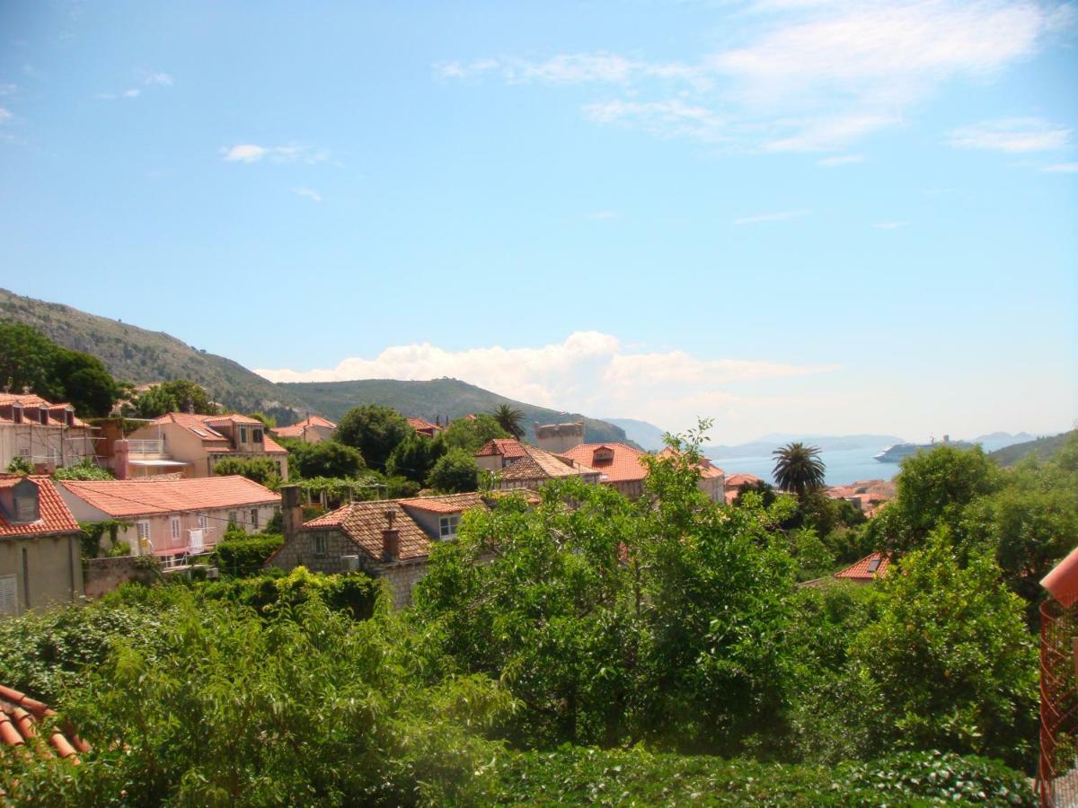 Family House Nozica Guest house